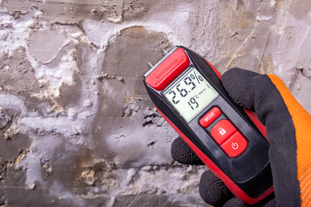 Best Black Mold Remediation in Midwest City, OK