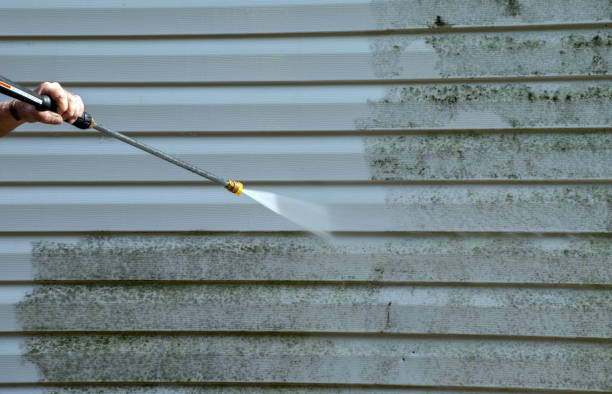 Best Post-Flood Mold Remediation in Midwest City, OK