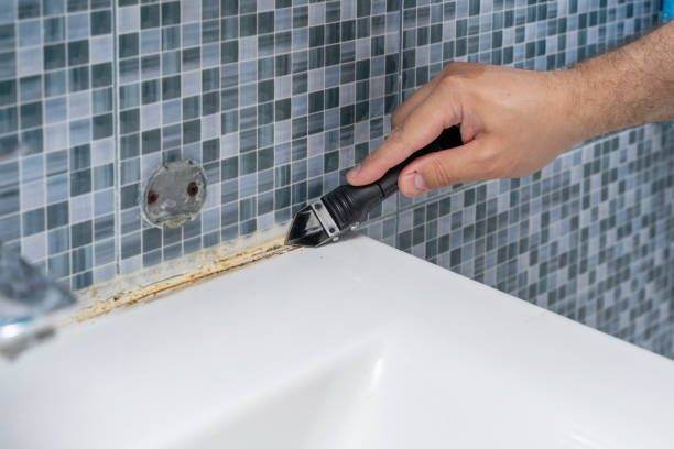 Best Insurance-Related Mold Remediation in Midwest City, OK