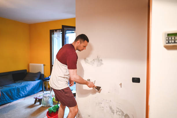 Best Crawl Space Mold Remediation in Midwest City, OK